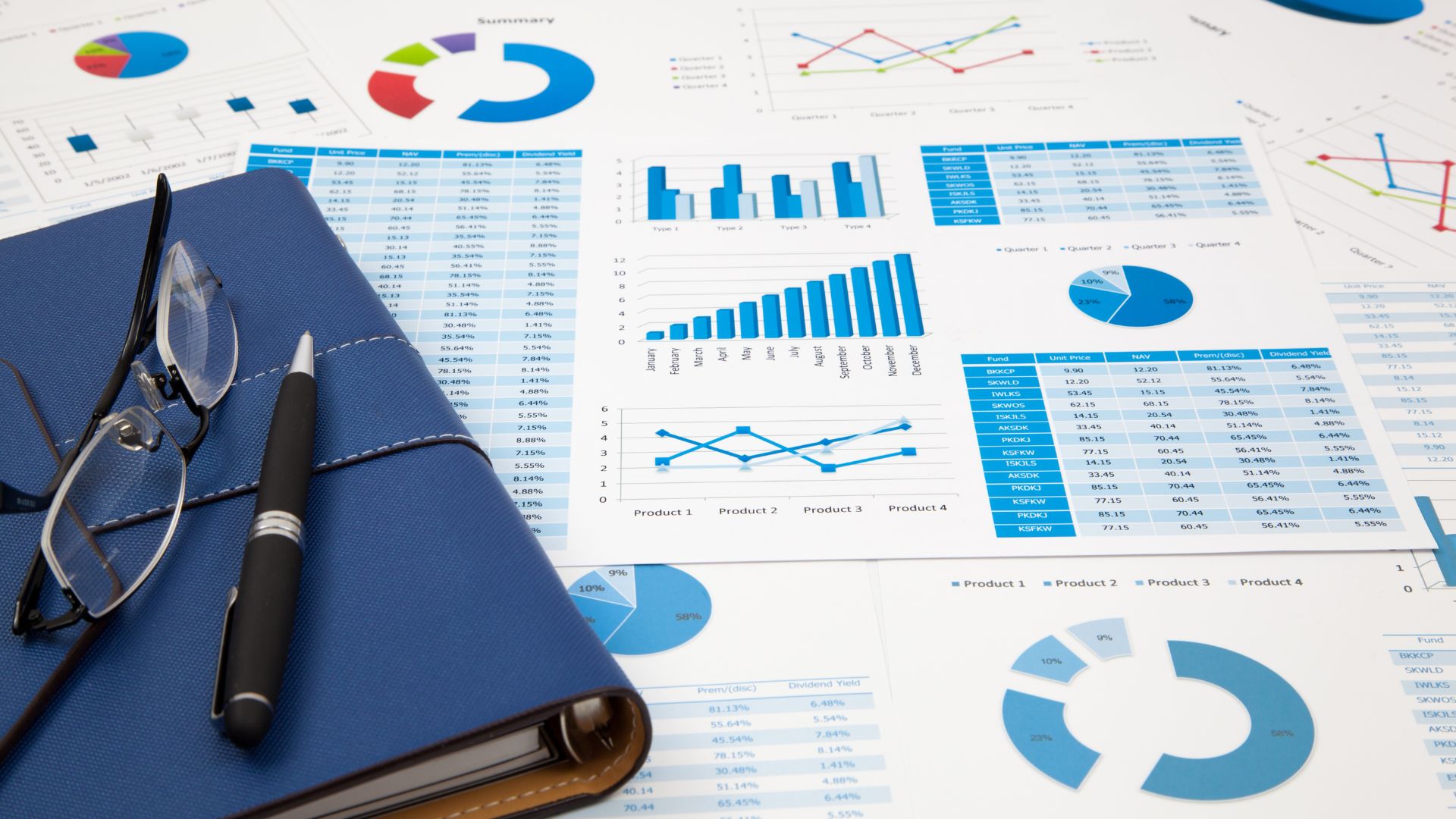 Financial Audit & Risk Management Advisory